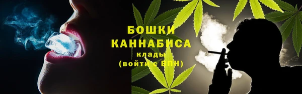 мдпв Вязники