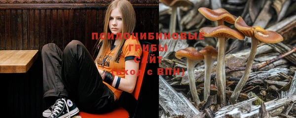 jwh Пестово