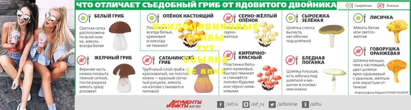 Псилоцибиновые грибы прущие грибы  как найти наркотики  Белоярский 